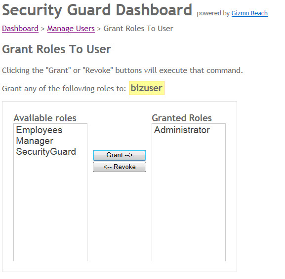 grant roles to user